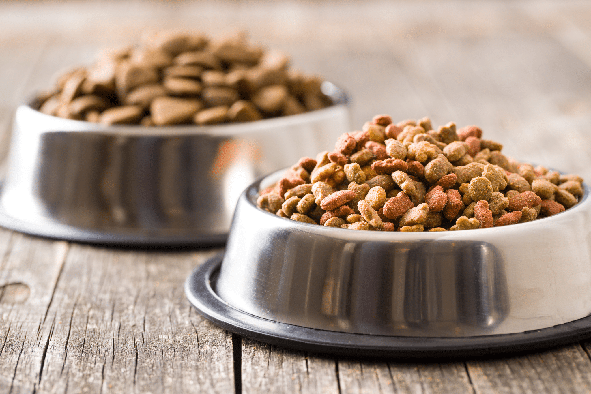 Pet Food Image